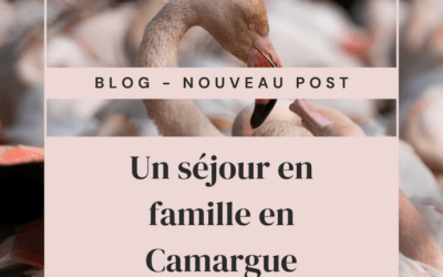 Un superbe séjour en famille au coeur de la Camargue