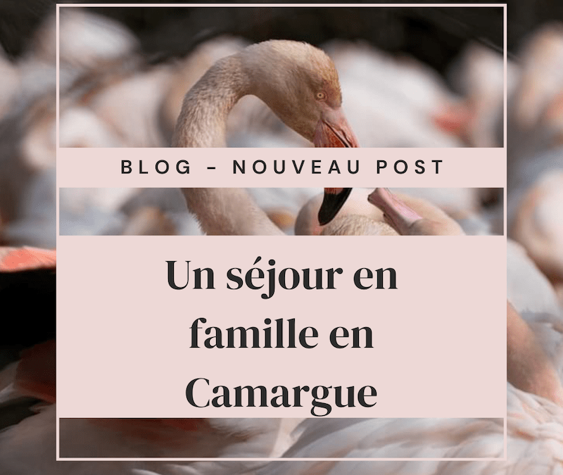 A wonderful family getaway in the heart of the Camargue