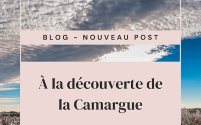 Discovering the Camargue