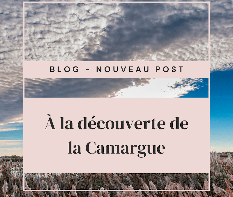 À la découverte de la Camargue