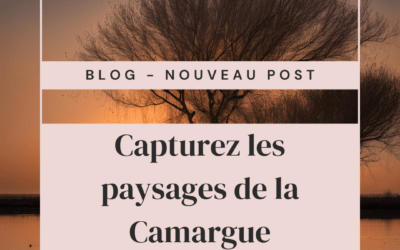 Capturez les paysages de la Camargue