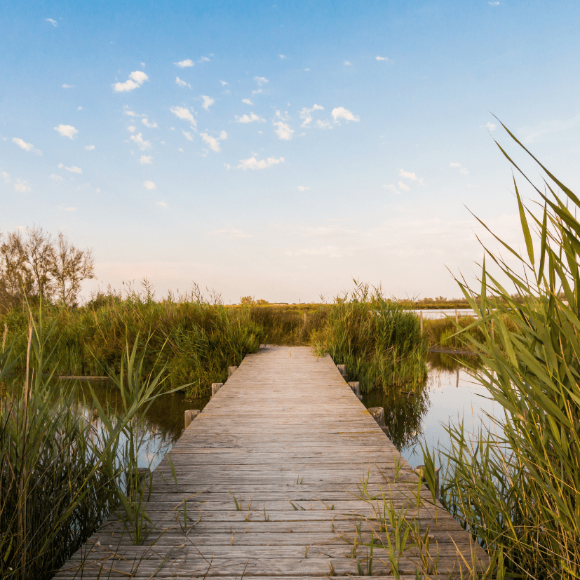 préparez votre voyage en camargue