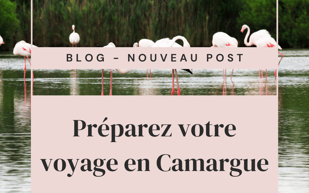 Préparez votre voyage en Camargue