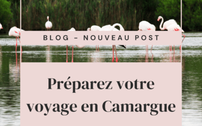 Prepare your trip to Camargue